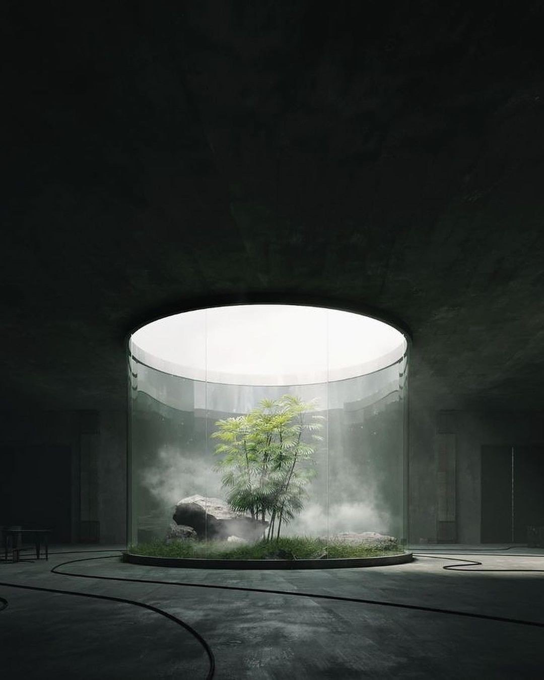 The garden core