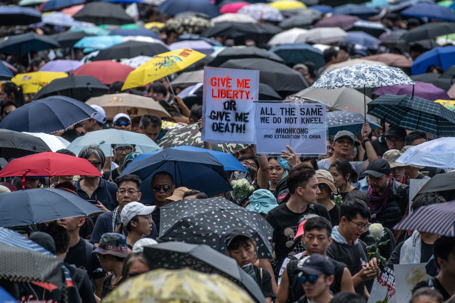 Protesters hold placards as they prepare to demonstrate against the now-suspended extradition bill, June 16, 2019